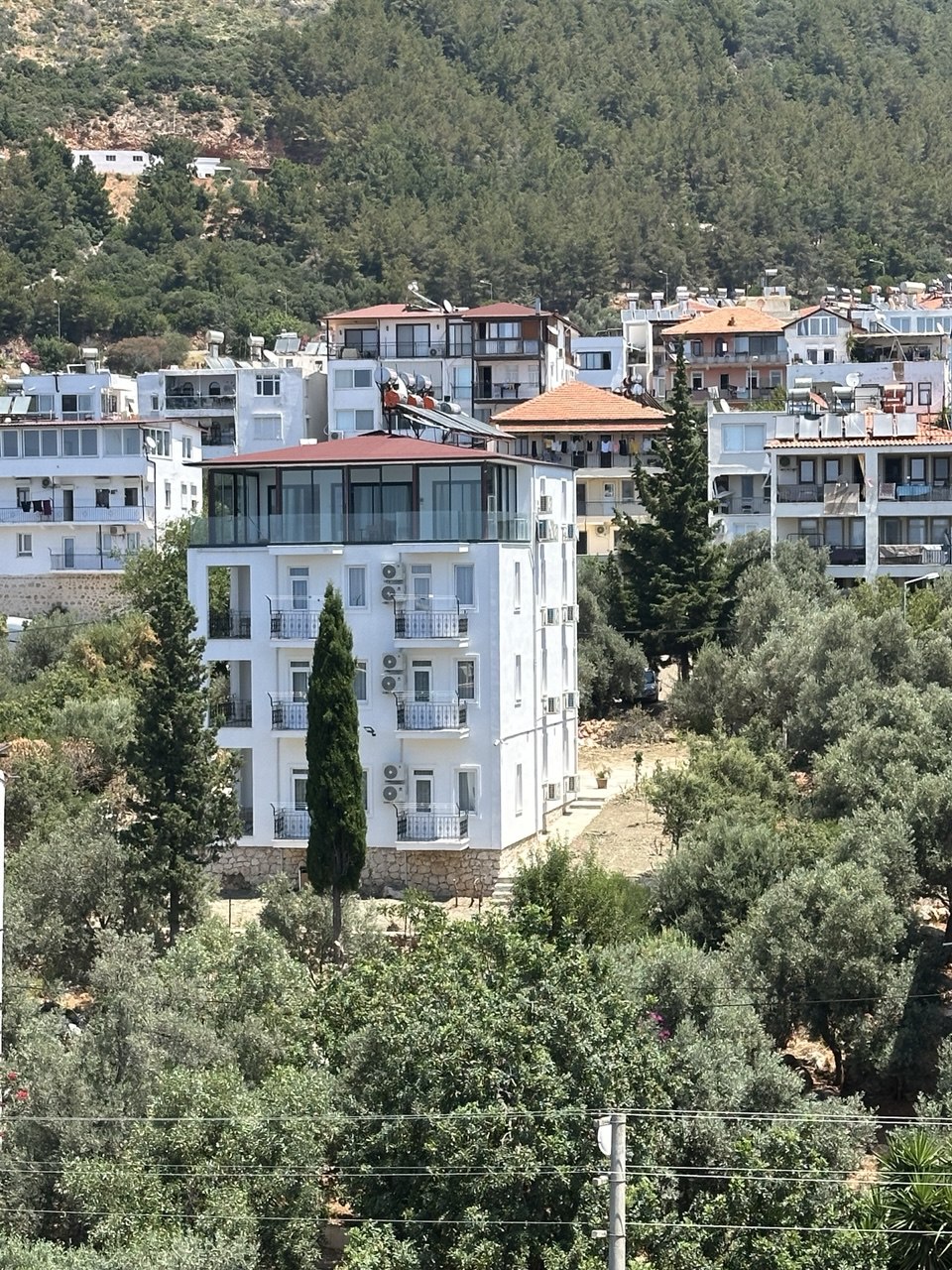 Zeytinlikler arasında