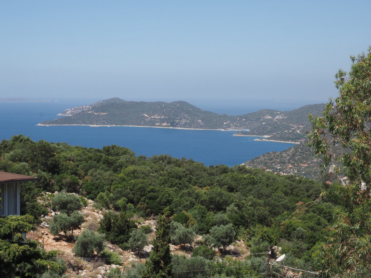 Limanağzı koyu